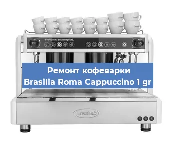 Ремонт кофемашины Brasilia Roma Cappuccino 1 gr в Ростове-на-Дону